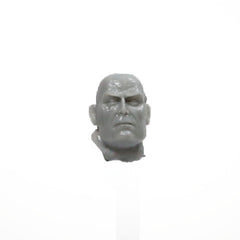 Warhammer 40K Forgeworld Sons of Horus The Warmaster Head Bare